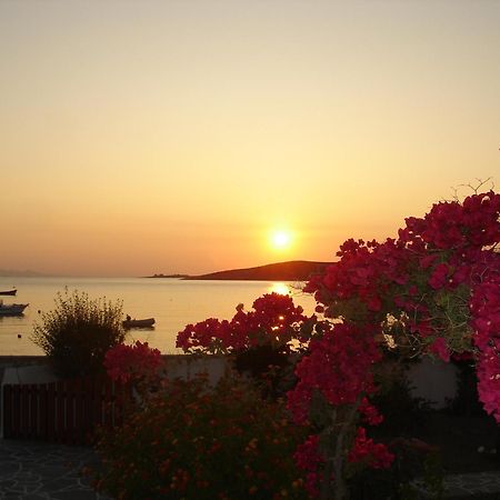 Irene Hotel - Beachfront Parikia  Bagian luar foto