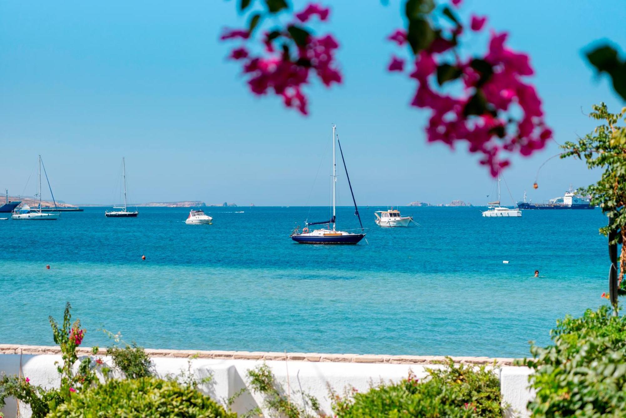 Irene Hotel - Beachfront Parikia  Bagian luar foto