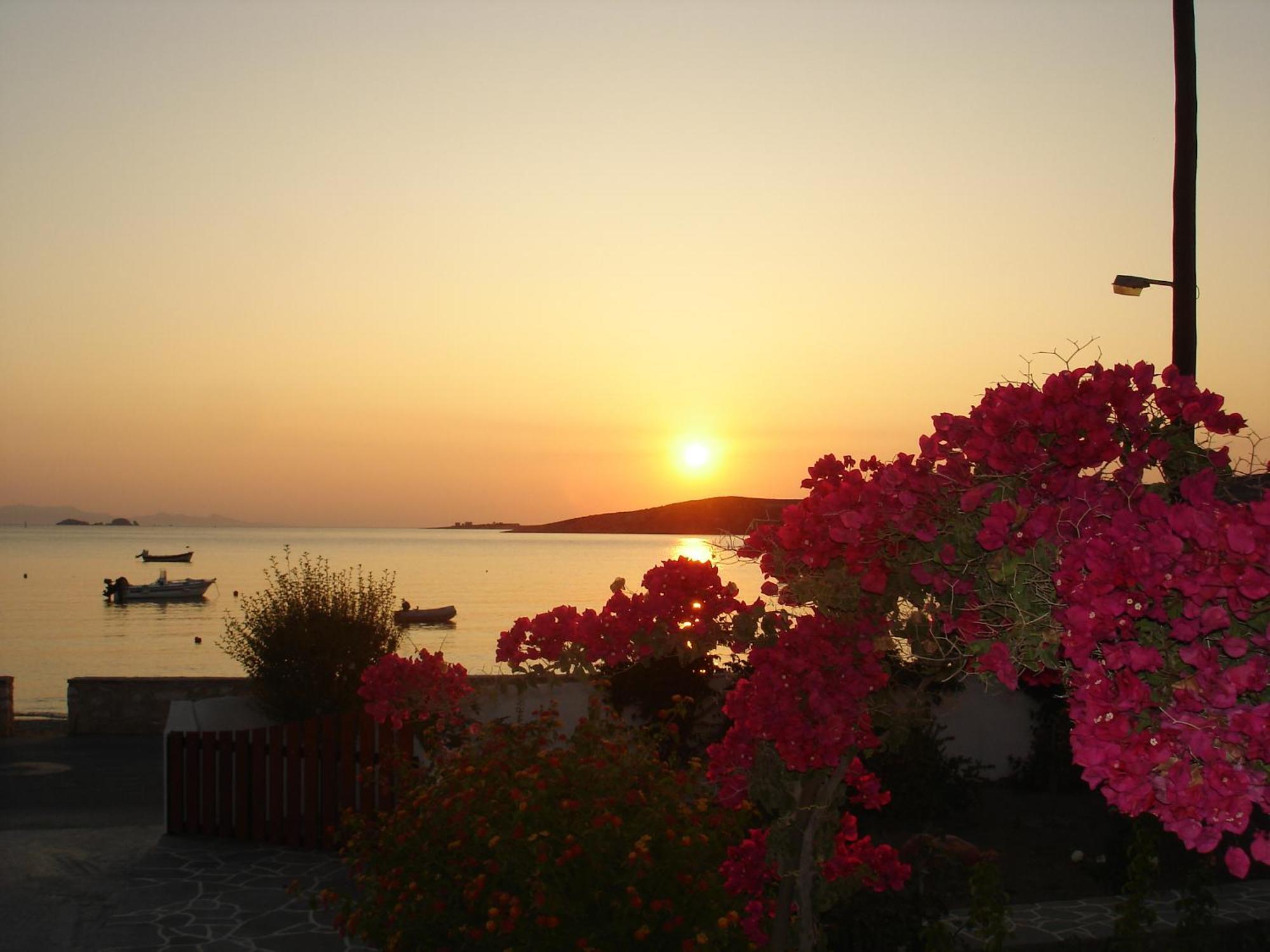 Irene Hotel - Beachfront Parikia  Bagian luar foto